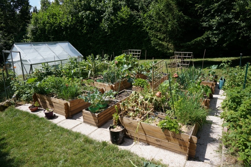  Potager  en carr  comment faire son potager  en en carr 